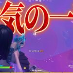 これが本当の神回【フォートナイト/Fortnite】