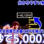 【3秒で5000XP!!】まだ使える!! 完全放置で大量にXPが稼げる最強の島を紹介します！【フォートナイト】