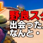 野良スクワッドで出会ったメンバーの1人がめちゃくちゃだｗ【フォートナイト/Fortnite】