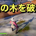 【FORTNITE】 松の木を破壊する