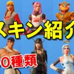 フォートナイトのスキン紹介【Fortniteコスチューム300種類以上】