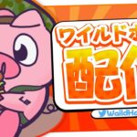 【フォートナイト】デュオキャッシュカップ決勝勝つぞ～！！！w/まうふぃん