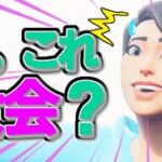 【ノーカット】アリーナだと思ったら大会ボタン押してて途中で気づいたやつ【フォートナイト/Fortnite】