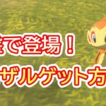 レアポケモン『ヒコザル』入手方法！【ポケモンアルセウス・攻略動画・Pokémon LEGENDS アルセウス・任天堂スイッチ・黒曜の原野・シシの高台・出現場所・ゴウカザル】