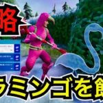 【ウィーク14】シーズンクエストにチャレンジしてレベル上げ【フォートナイト】フラミンゴの庭の装飾でシェルオアハイウォーターとハッピーキャンパーを飾りつける 乗り物に乗ってスピード65に到達するなど…