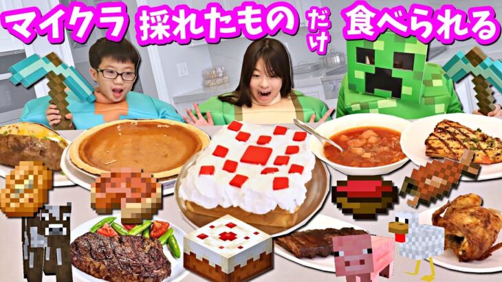 マイクラ サバイバルで採れた物だけが 本日の夜ごはんです😝 【Minecraft】