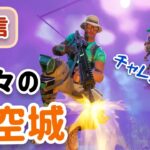 フォートナイト 久々の天空城チャレンジ！【配信】