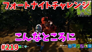 【フォートナイト】よたじゃのフォートナイトチャレンジ#219