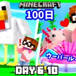 マイクラ100日チャレンジPart2 モブが巨大化😲魚ちゃんが襲ってくるマインクラフト　ウーパールーパー飼いたい😍  Minecraft 100day But….Day6 to 10