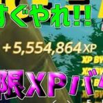 【無限XPバグ3選!!】今1番最高効率で稼げる！放置で200レベにできる経験値無限獲得バグのやり方!!!!!【フォートナイト】