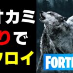 オオカミの移動だけでビクロイチャレンジ！！　フォートナイト　FORTNITE　『しゅーたのスプラトゥーン』