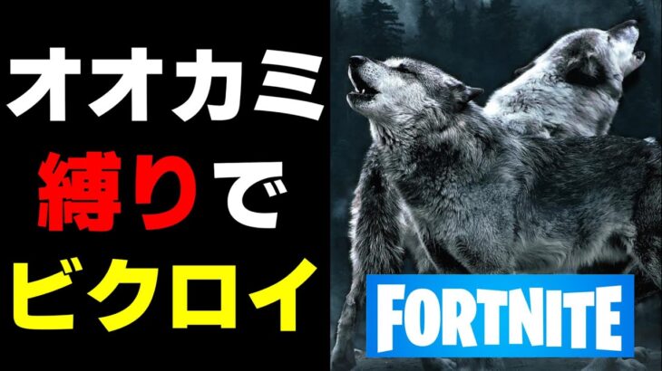 オオカミの移動だけでビクロイチャレンジ！！　フォートナイト　FORTNITE　『しゅーたのスプラトゥーン』