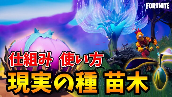 「現実の種」「現実の苗木」仕組み、使い方解説、おすすめ活用法はコレです【フォートナイト/Fortnite】