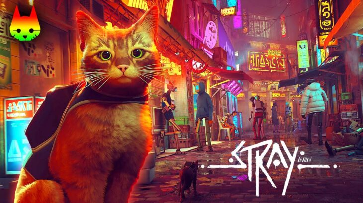 世界は広がり、謎は深まる😼🤖🔦#2【猫のゲームStray】