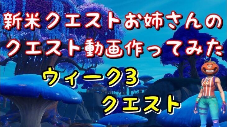 クエスト攻略動画つくってみた　シーズン3　～ウイーク３～　【フォートナイト】