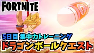 【フォートナイト】ドラゴンボールクエスト5日目集中力トレーニング”照準、筋斗雲からかめはめ派、アスファルト”【Fortnite】