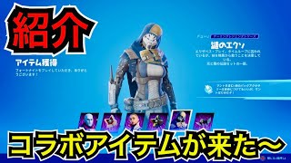 【新スキン】デスティニーコラボ『ザヴァラ司令官』『イコラレイ』『謎のエクソ』が今日のアイテムショップに登場【フォートナイト×DESTINY2】塩を少々やフラッパーも再販来た〜