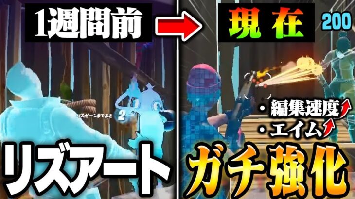 落ちこぼれゲーマーが２週間本気で練習した結果…【フォートナイト・FORTNITE】