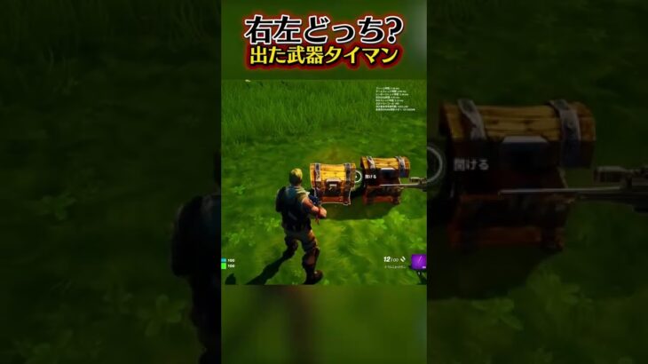 右左どっち？出た武器でタイマンしてみた！【フォートナイト / Fortnite】