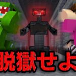 殺人ロボのいる地下刑務所から脱獄しろ！【ヒカキン×カラフルピーチ コラボ】【マインクラフト】【マイクラ】