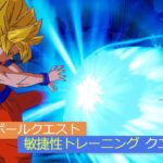 「フォートナイト」敏捷性トレーニングクエスト攻略！「ドラゴンボールクエスト」