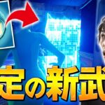 新エキゾチックアイテムが大会限定で実装されていました！！【フォートナイト/Fortnite】