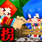 怪盗兄弟の脱出が天才的すぎた、、、ミスターレッドブル【マイクラ・マインクラフト】