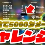 【フォートナイト】1試合5000ダメージチャレンジ！