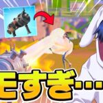 追加された謎の武器が大問題すぎたｗｗｗ【フォートナイト/Fortnite】