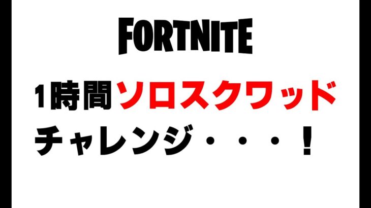 デュオスクです！間違えました！【フォートナイト】