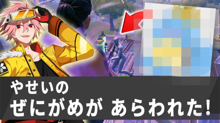 野生のぜにがめが現れた！【フォートナイト/FORTNITE】