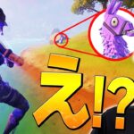 こんな事ある!?もう二度と再現不可能な奇跡が起きたネフライトｗ【フォートナイト/Fortnite】