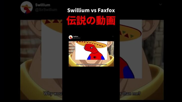 Swillium vs Faxfox 伝説の動画【フォートナイト/fortnite】