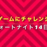 【ゲームにチャレンジ】フォートナイト13日目