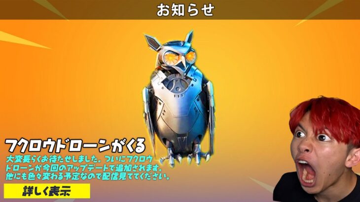 🔴フクロウアプデ！ダウンタイム待ち配信！🦉【フォートナイト】