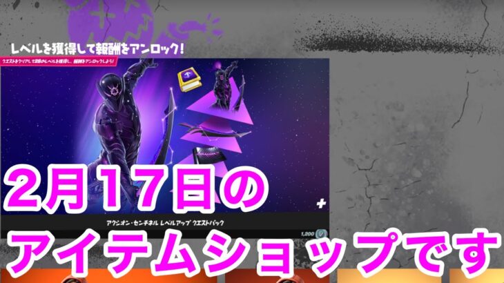 【フォートナイト】新スキン登場です。2023年2月17日のアイテムショップです。：【FORTNITE】