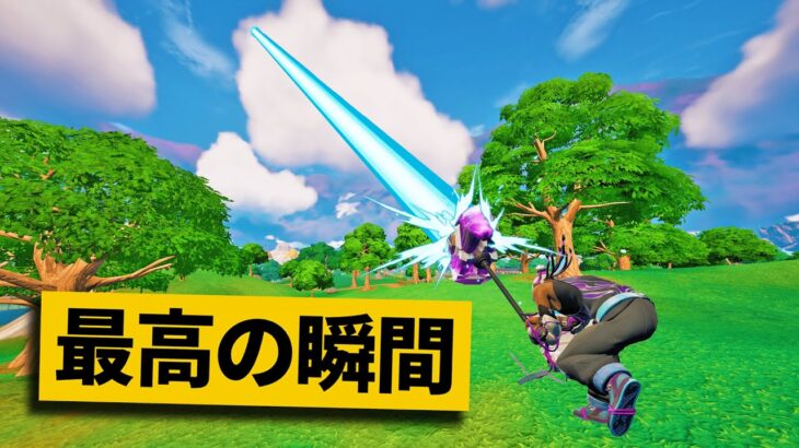 【最高の瞬間30選】かめはめ波をハンマーで回避てるんだけど!?!?!?神業面白プレイ最高の瞬間！【Fortnite/フォートナイト】