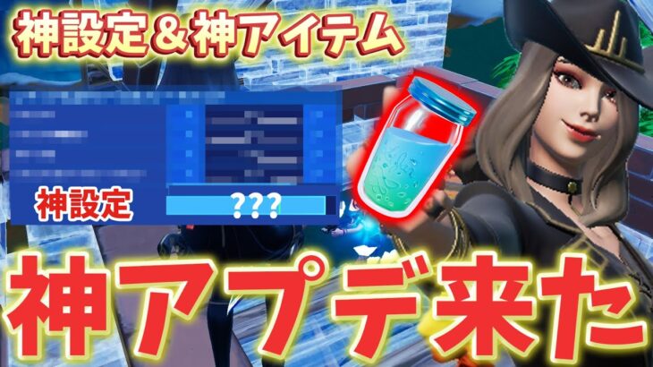 【最新情報】とある神設定追加されてた！3年半ぶりにあの回復アイテムが返ってきた！【フォートナイト/Fortnite】