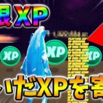 【最速レベル上げ無限XP】稼いだXPの1割を寄付しようと思ったら大変な額になってしまったwww【FDCチャリティ2023】【シーズン1】【チャプター4】【フォートナイト】