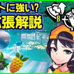 【知ってる?】新現実拡張のホントの強さは一体なんだ!?＆バグ修正解説【フォートナイト】