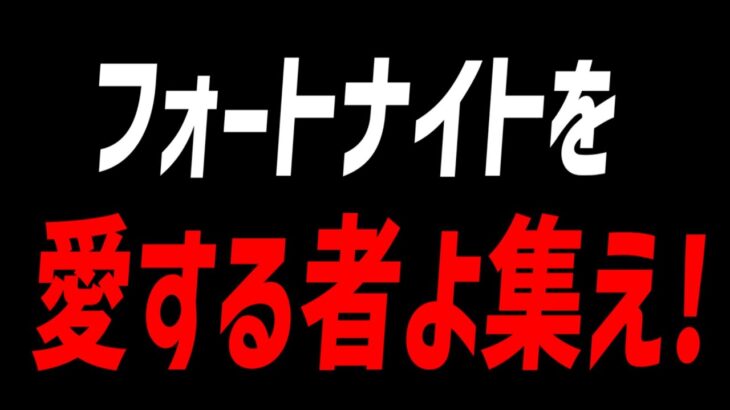 【要注意】この動画は”フォートナイトが好きな人”だけ見てください【フォートナイト】