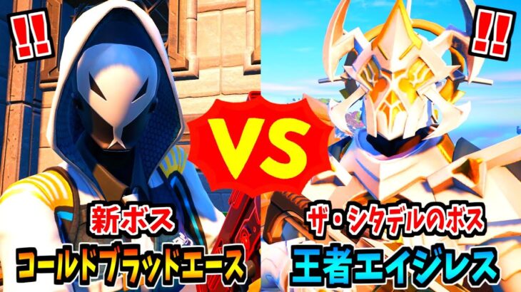 コールドブラッドエース vs 王者エイジレス【茶番/フォートナイト】