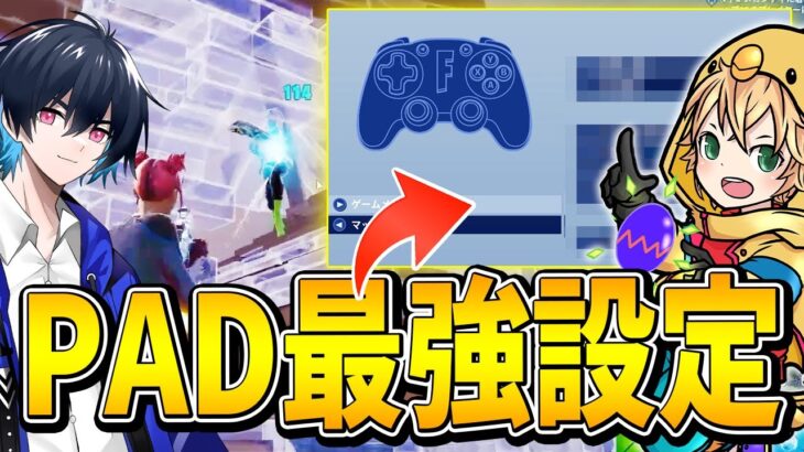 【超必見】最強PADプロみにぴよのマネすべきPAD設定を大公開してもらいます！【フォートナイト/Fortnite】