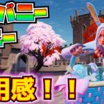 【新スキン】ミスバニーペニー使用感！！【フォートナイト/Fortnite】