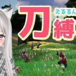 スキコン・鬼ごっこ・刀縛りカスタム｜世界一平和で優しいフォートナイトライブ FORTNITE【#えるるん / #Vtuber】