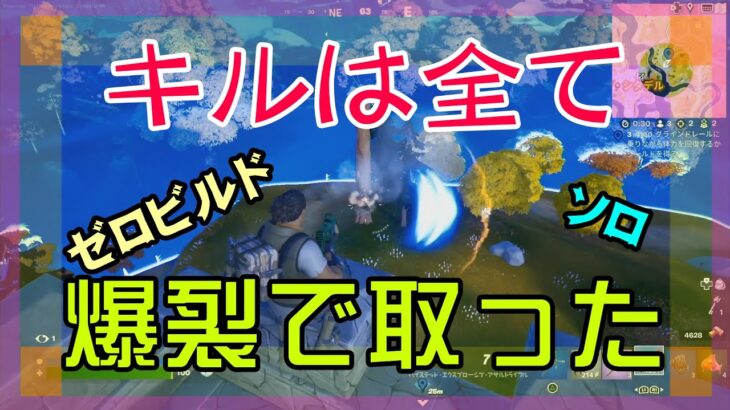 【Fortnite】爆裂アサルトの強さを堪能するゼロビルド/ソロ攻略/マイクなし/バトルロイヤル/PS4【フォートナイト】