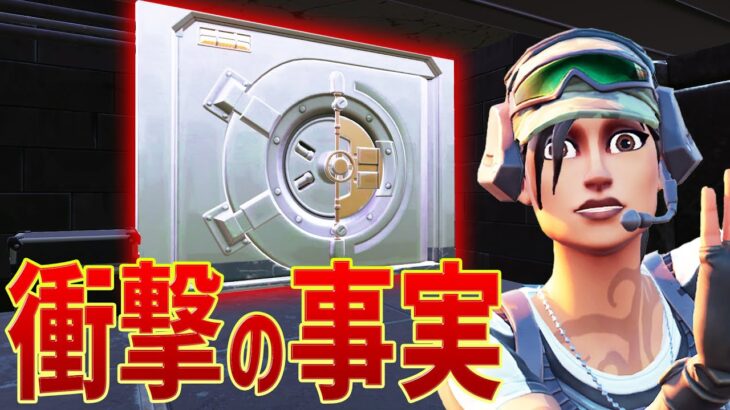 ブルータル金庫実装以来、最大のアプデに驚愕するネフライト【フォートナイト/Fortnite】