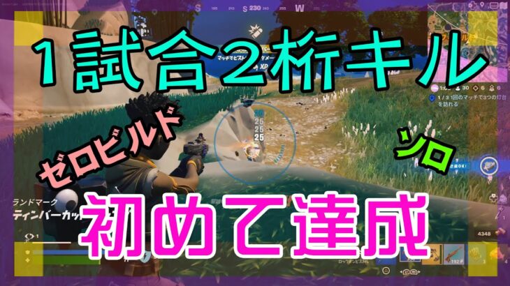 【Fortnite】初めて1試合で2桁キルができたゼロビルド/ソロ攻略/マイクなし/バトルロイヤル/PS4【フォートナイト】