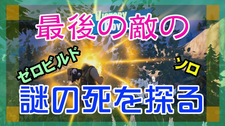 【Fortnite】敵の死の謎を探るのがわたしの使命なゼロビルド/ソロ攻略/マイクあり/バトルロイヤル/PS4【フォートナイト】