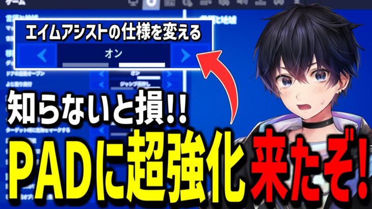 【速報】エイムアシストの○○が大幅に変更されPADの時代に?!【フォートナイト】